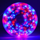 Tira Pinmarkt LED aplicación cuerda RGB monocromo 50mts - La nueva eléctrica