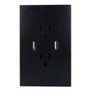 Placa Lucek Flat 2 contactos 2 USB negra - La nueva eléctrica