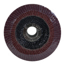 Disco Pinmark 4.5 con lija P40 c/10 piezas - La nueva eléctrica