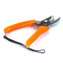 Tijeras Latintul jardín