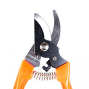 Tijeras Latintul jardín