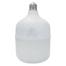 Foco Pinmarkt omnidireccional LED 50W - La nueva eléctrica