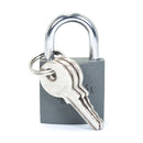 Candado Good Will 25mm - La nueva eléctrica