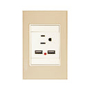 Placa Lucek crystal contacto y 2 usb dorado/marfil