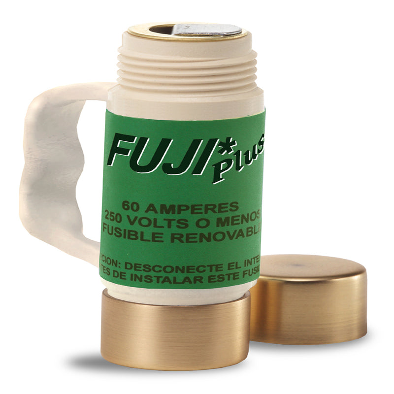 Fusible Fuji 60 amp.