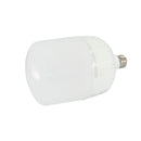 Foco Promi omnidireccional 50W - La nueva eléctrica